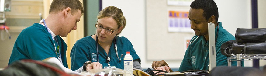 photo of nursing students studying