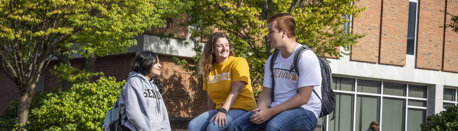 photo of students sitting outside on wright state's campus