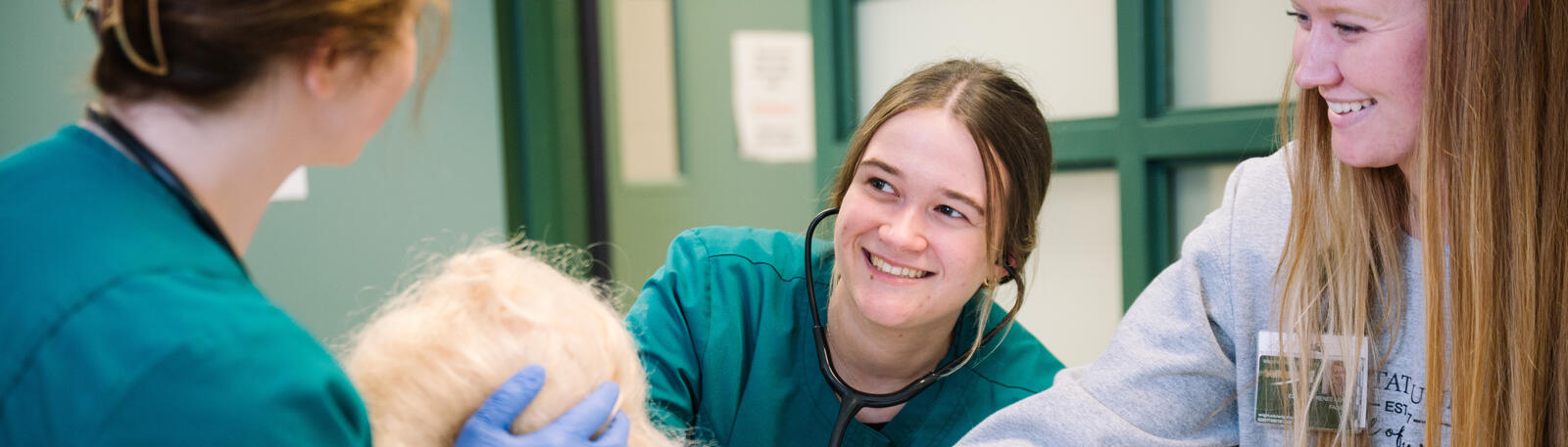nursing students and an instructor in a learning lab