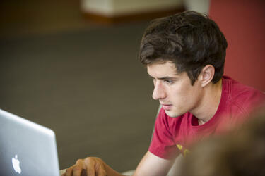 photo of a student looking at a laptop